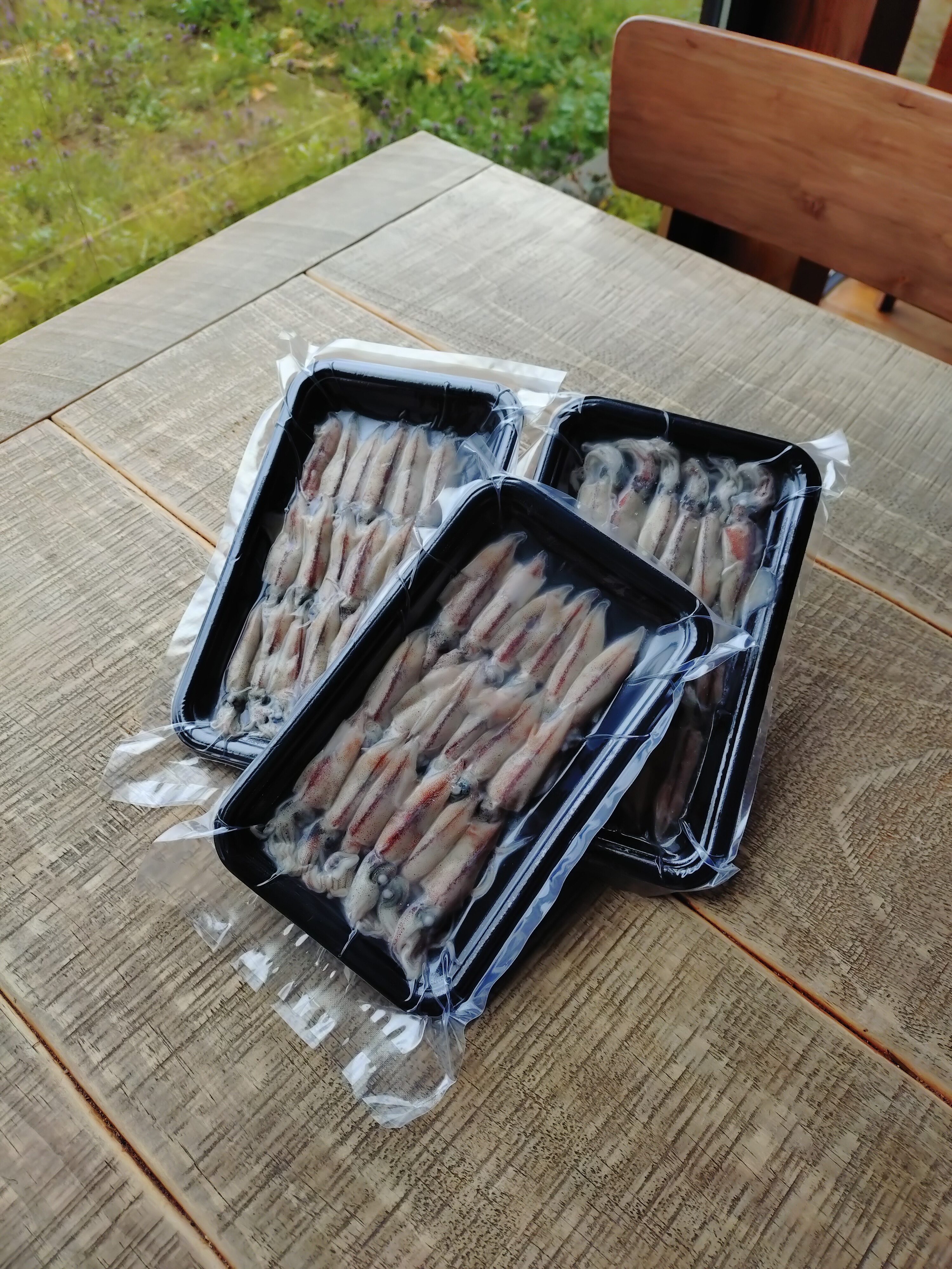 ホタルイカ（冷凍）販売開始！